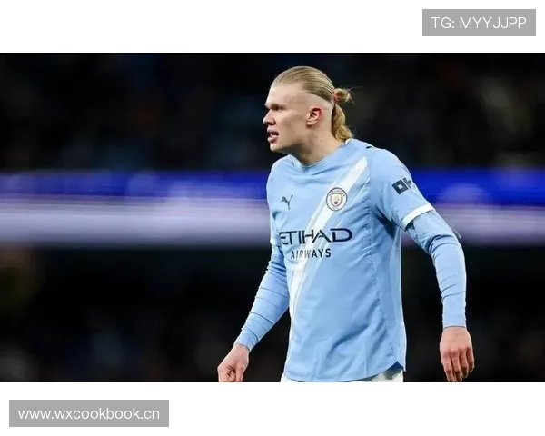 哈兰德对阵顶级中卫的对抗能力解析:是否已达顶级水平 哈兰德对阵顶级中卫的对抗能力解析:是否已达顶级水平