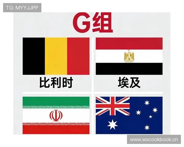 世界杯G组关键数据解读 世界杯G组关键数据解读